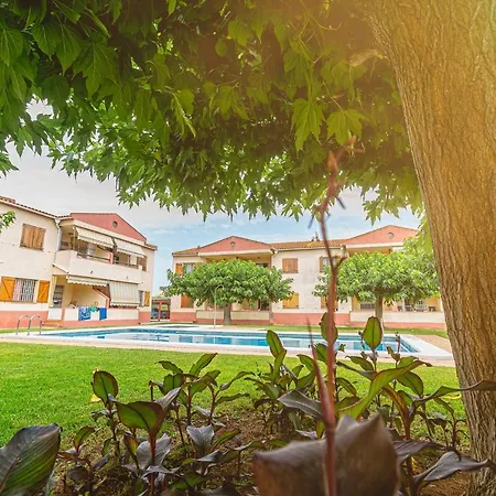 Aigua Oliva Vinaros